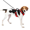 Dog Harness U3590