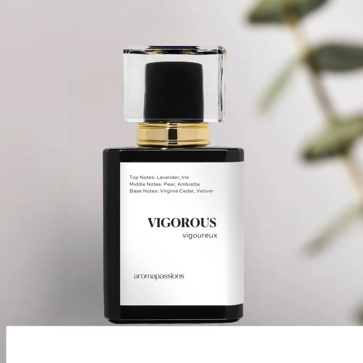 Pheromone Perfume for Men Extrait De Parfum Y355862