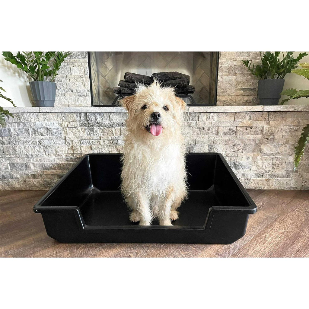 Extra Large Litter Box I2692