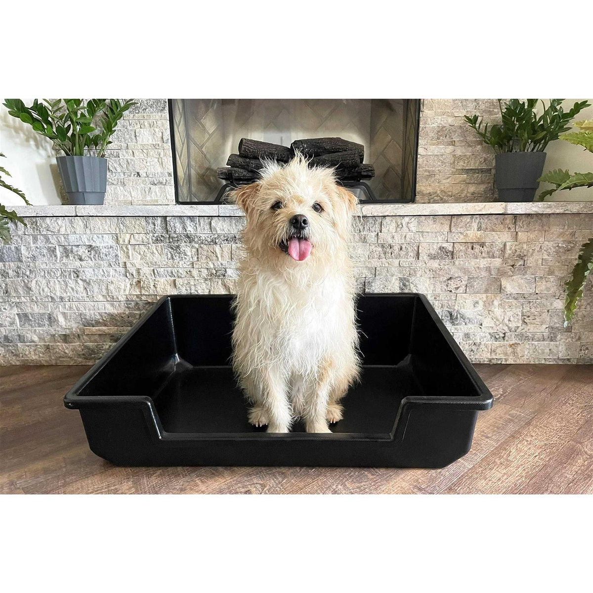 Extra Large Litter Box I2692