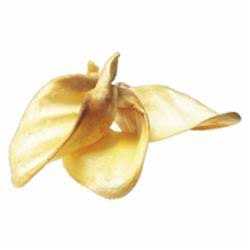 Cow Ears Pet Supplies N778