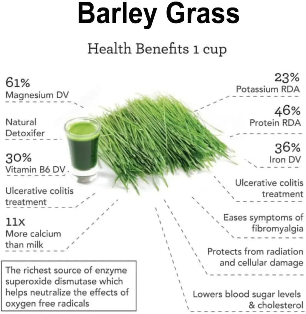 Organic Barley Grass Powder 4 Boxes J925