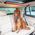 Dog Zipline K52699