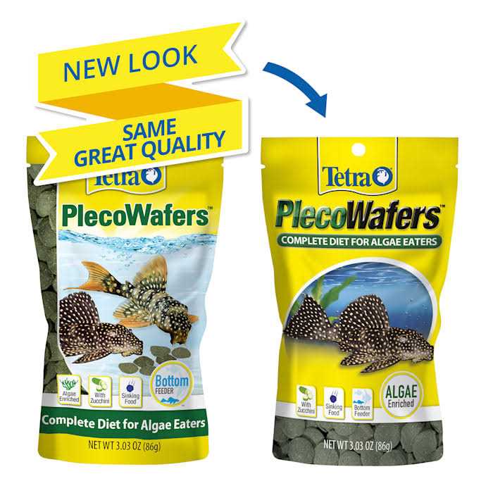Algae Eaters T669385