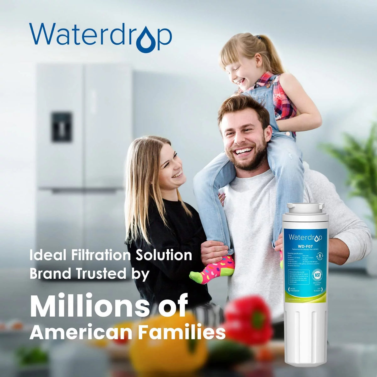 Refrigerator Water Filter 4, 2 Filters A5071