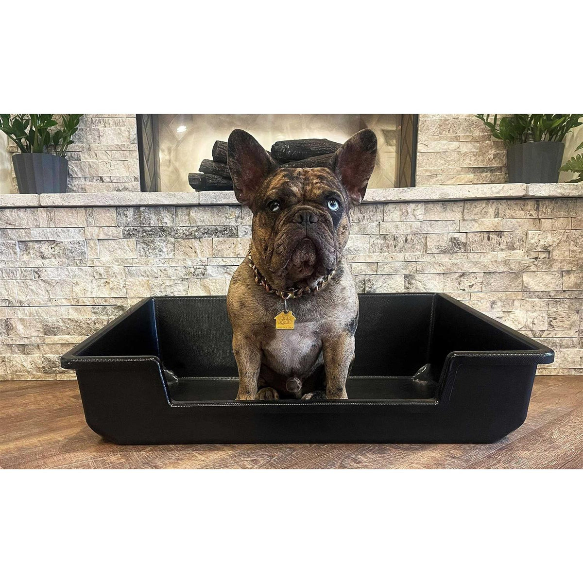 Extra Large Litter Box I2692