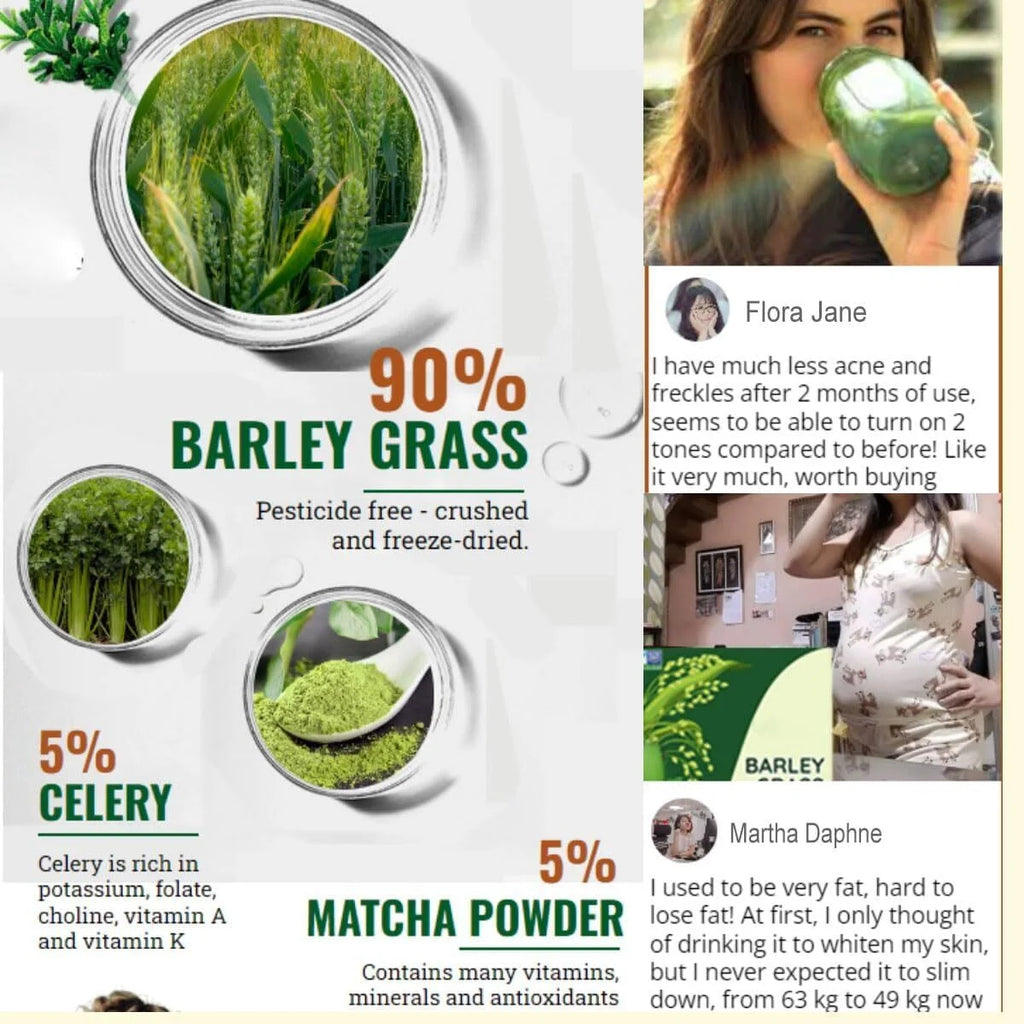 Organic Barley Grass Powder 4 Boxes J925